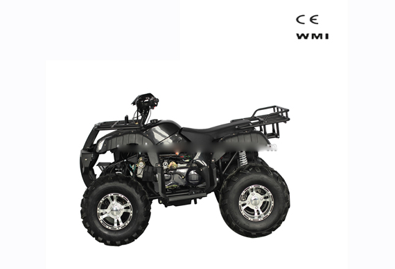 Adult Chinese Quad Bike 150CC 200CC