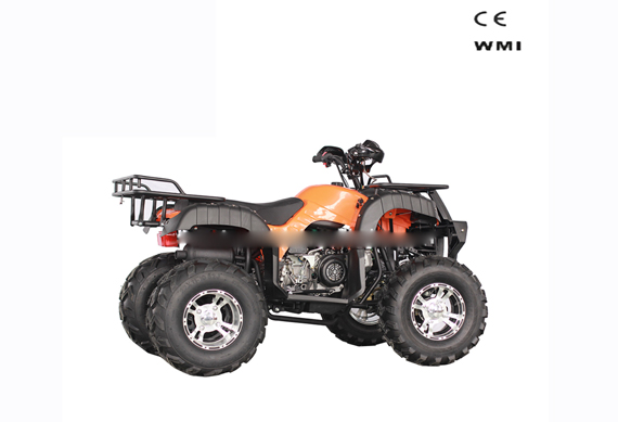 Adult Chinese Quad Bike 150CC 200CC