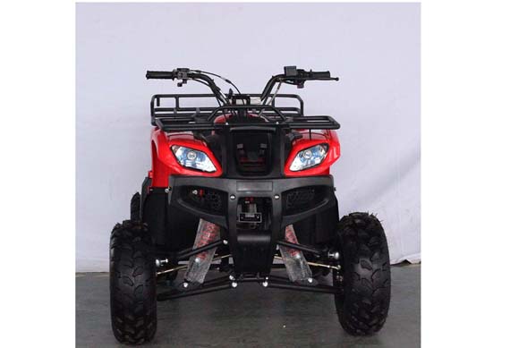 chinese adult atv quad bike from zhejiang Smart factory