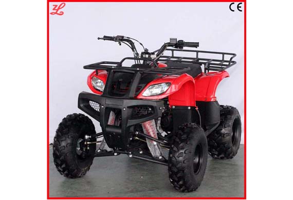 chinese adult atv quad bike from zhejiang Smart factory