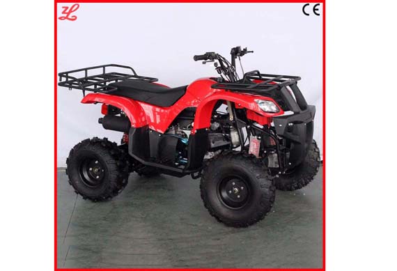 chinese adult atv quad bike from zhejiang Smart factory