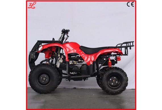 chinese adult atv quad bike from zhejiang Smart factory