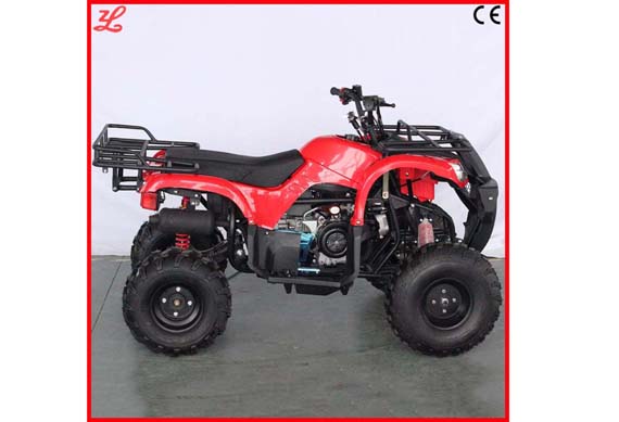 chinese adult atv quad bike from zhejiang Smart factory