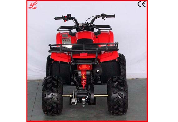 chinese adult atv quad bike from zhejiang Smart factory