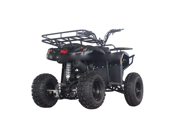 Gy6 200CC Adult ATV Quad And 4 Wheelers With Auto Engine