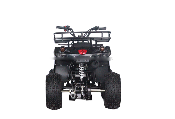 Gy6 200CC Adult ATV Quad And 4 Wheelers With Auto Engine