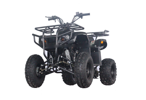 Gy6 200CC Adult ATV Quad And 4 Wheelers With Auto Engine