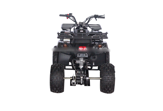 Gy6 200CC Adult ATV Quad And 4 Wheelers With Auto Engine