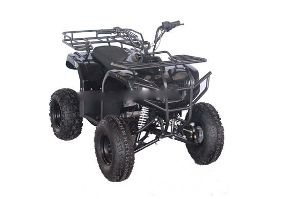 Gy6 200CC Adult ATV Quad And 4 Wheelers With Auto Engine