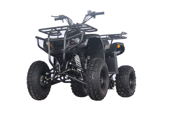 Gy6 200CC Adult ATV Quad And 4 Wheelers With Auto Engine