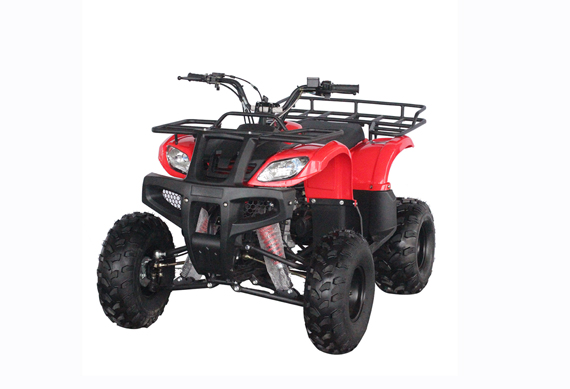 110CC Peace sports odes 4 wheeler atv for adults