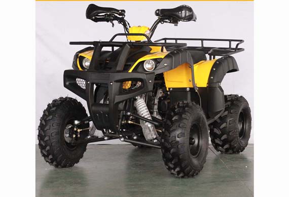 Cheap 150Cc Atv Prices Raptor