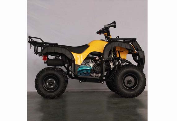 Cheap 150Cc Atv Prices Raptor