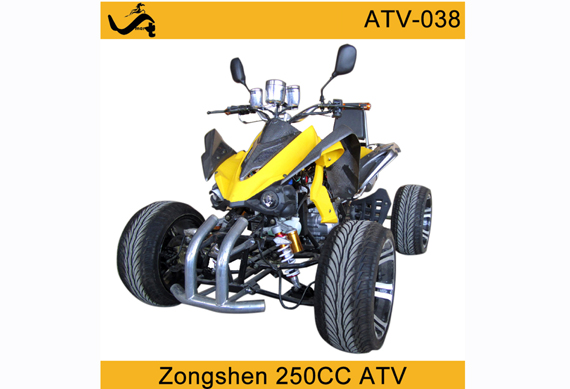 250CC Street Moto Atv Quad Bikes 250CC