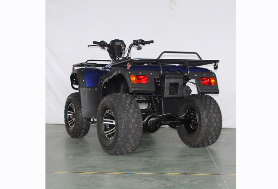 New Style 4 Wheeler Quad Atv 300Cc For Off Road