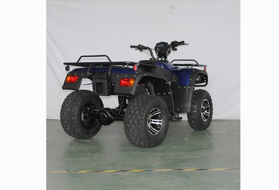 New Style 4 Wheeler Quad Atv 300Cc For Off Road