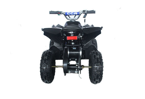 customizable Mini Kids ATV 36V 800W 1000wElectric ATV