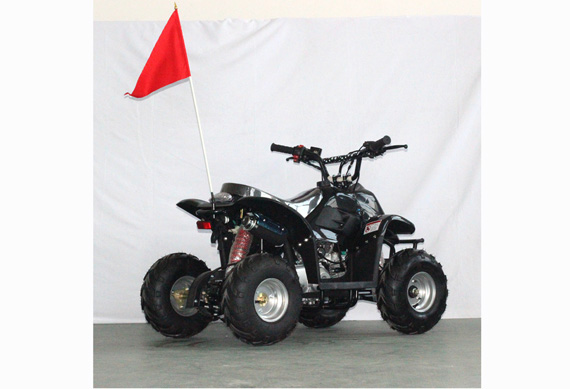 Super Quality Mini Quad 90Cc Atv 70Cc Mini Atv