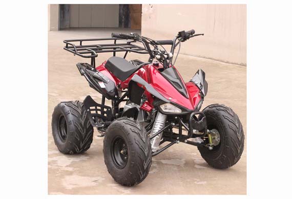 SMART Quads Bike Para Adultos 125CC