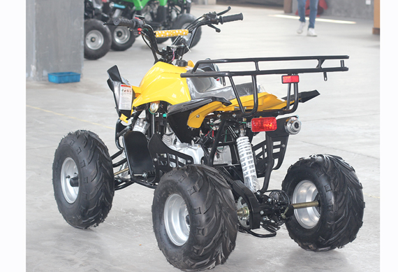 Adult Motor Automatic 125CC ATV 4 Wheel Motorcycle