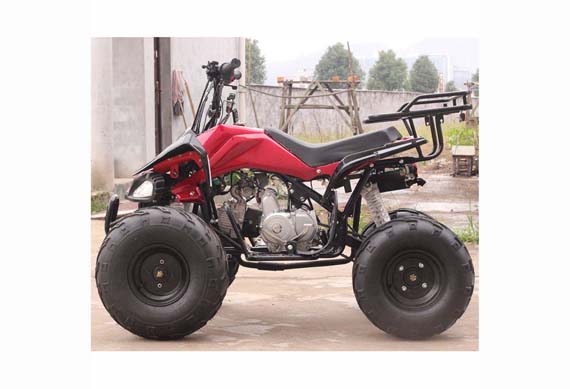 Zhejiang Youth ATV 125CC 4 Stroke Quad For Sale With Semi Auto Gears