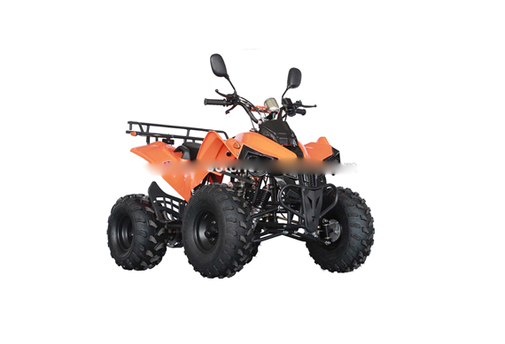 China factory raptor 4 wheel125cc 110cc atv mini quad