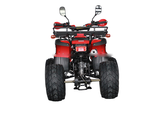 Hot sale 110cc 4 stroke raptor mini atv