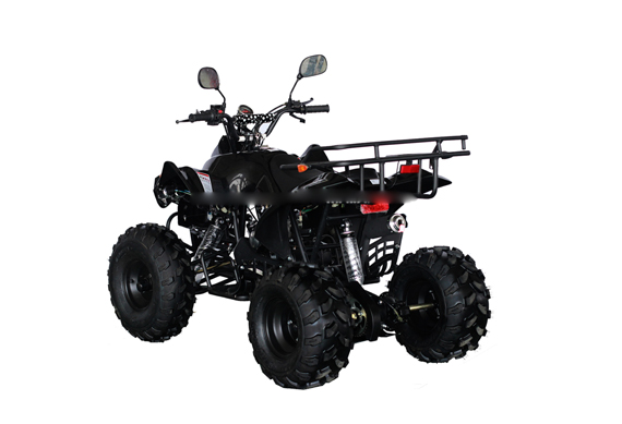 Hot sale 110cc 4 stroke raptor mini atv