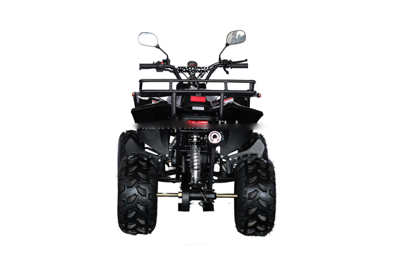 Hot sale 110cc 4 stroke raptor mini atv