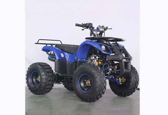 Mini 125CC Engine Quad Bike ATV 125CC