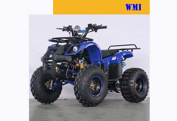 Mini 125CC Engine Quad Bike ATV 125CC