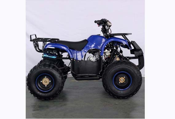 Mini 125CC Engine Quad Bike ATV 125CC