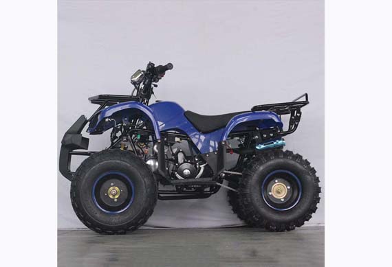 Mini 125CC Engine Quad Bike ATV 125CC