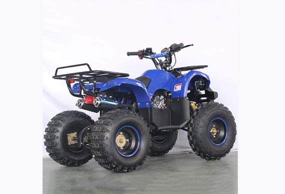 Mini 125CC Engine Quad Bike ATV 125CC