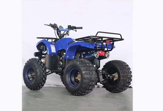 Mini 125CC Engine Quad Bike ATV 125CC