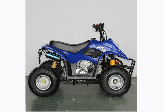 Kid 110CC Quad Bikes 110CC ATV Quad Off Road With CE Approved