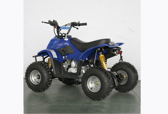 Kid 110CC Quad Bikes 110CC ATV Quad Off Road With CE Approved