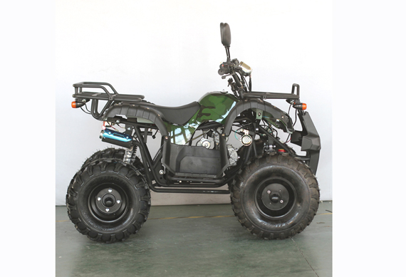 off road new buggy 110cc with electric start for sale