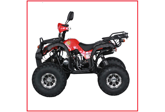 110CC 125CC Manual Engine ATV 125CC Quad 125CC Quad Bike