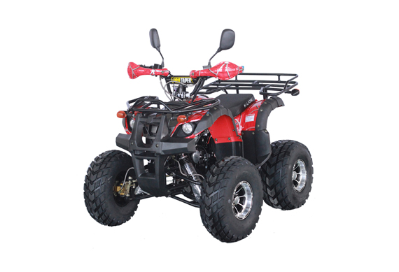 110CC 125CC Manual Engine ATV 125CC Quad 125CC Quad Bike