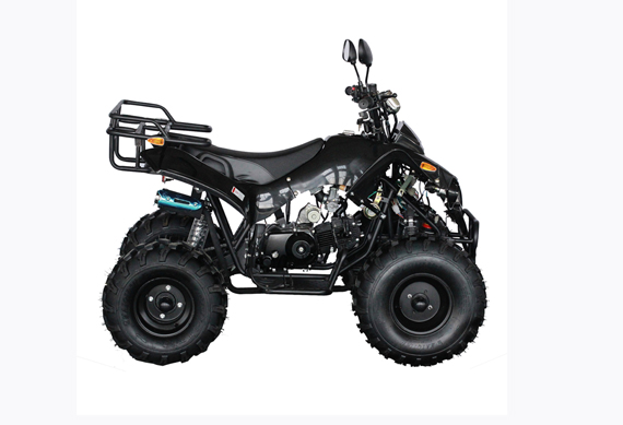 Zongshen Quad 125CC ATV Quad Bike Four Wheelers