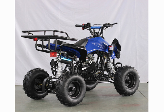 Hot selling street legal side by side atv 125cc