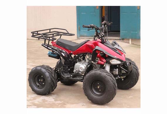 Build your own kits 4 seat adults 110cc atv