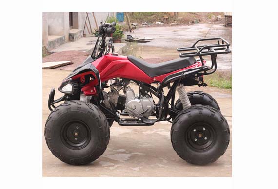 Build your own kits 4 seat adults 110cc atv