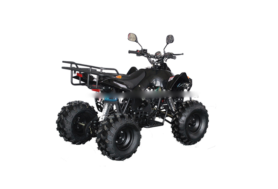 2017 China racing110cc peace sports atv for sale in malaysia