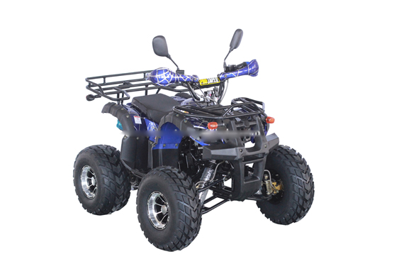 China amphibious atv for sale that is a $100 racing atv for sale