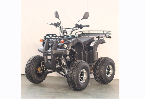 50CC 125CC Quad Bike ATV 100CC With CE WMI Approved