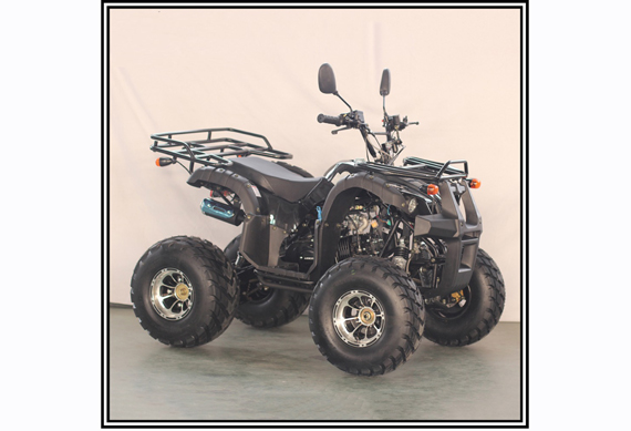 50CC 125CC Quad Bike ATV 100CC With CE WMI Approved