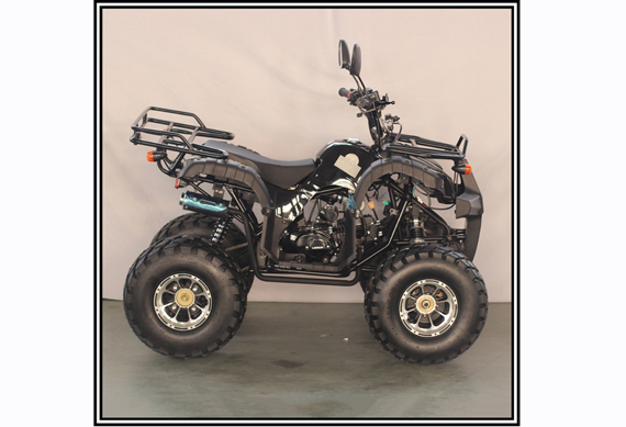 50CC 125CC Quad Bike ATV 100CC With CE WMI Approved