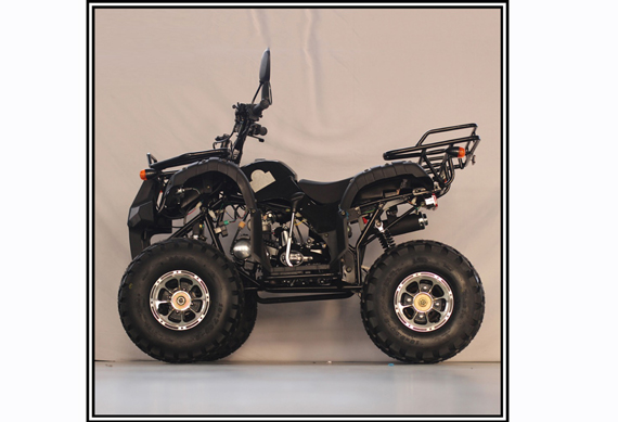 50CC 125CC Quad Bike ATV 100CC With CE WMI Approved